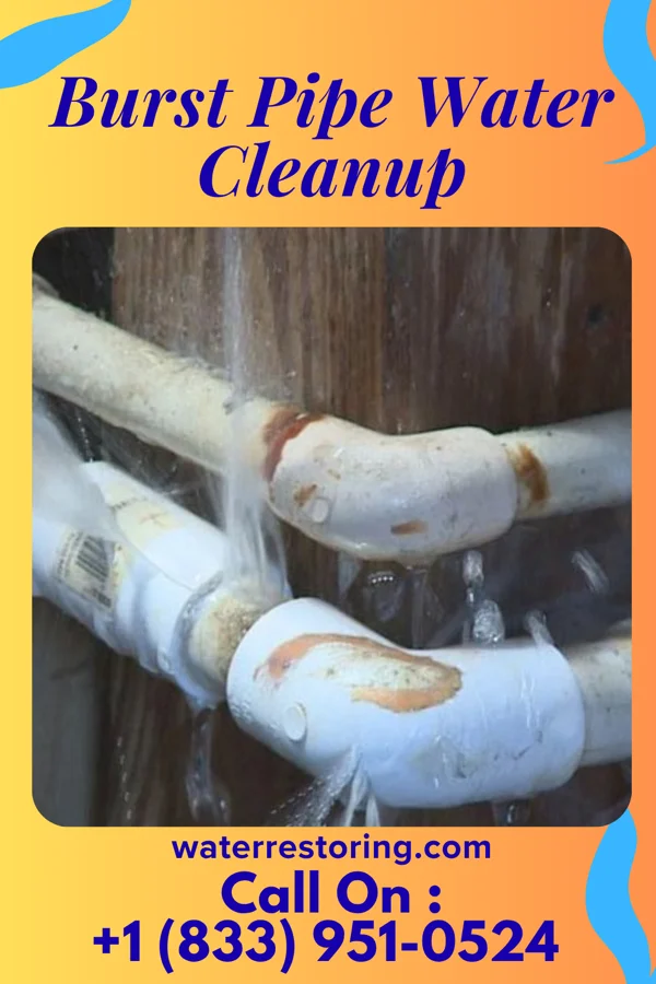 Burst Pipe Water Cleanup in Golden Beach, MD