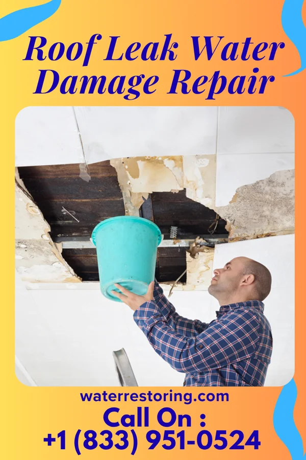 Roof Leak Water Damage Repair in Golden Beach, MD