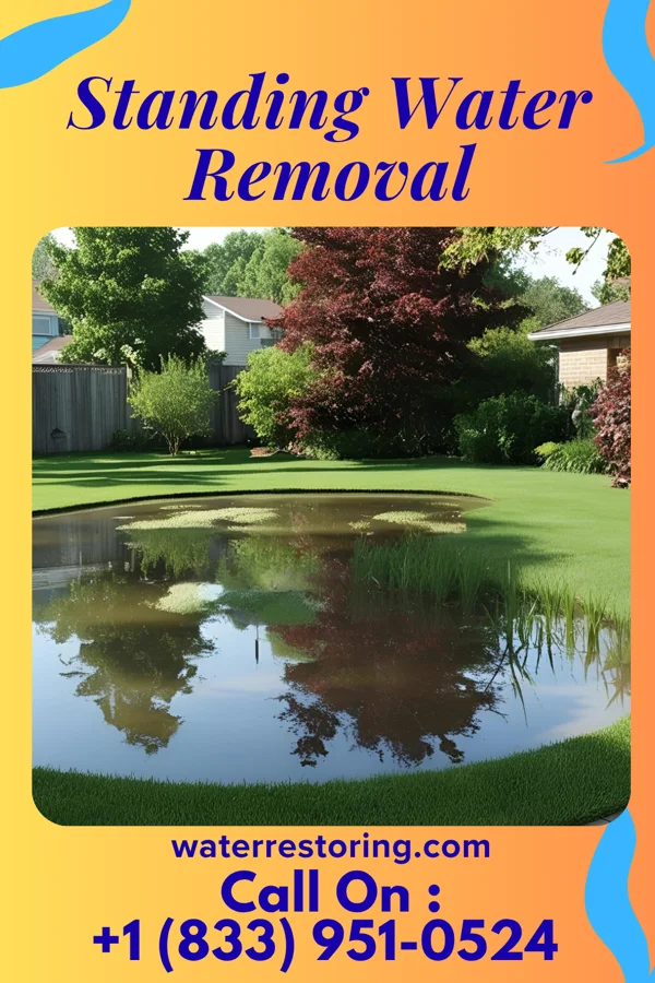Standing Water Removal in Golden Beach, MD